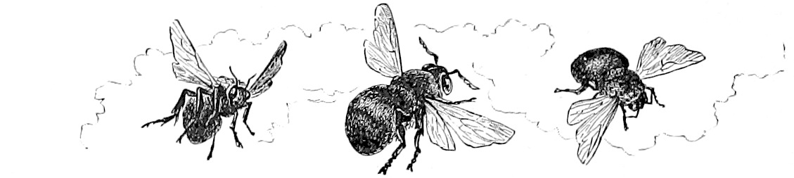 Un dessin de trois abeilles volant.