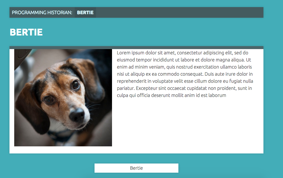 Bertie the dog is an exhibit item